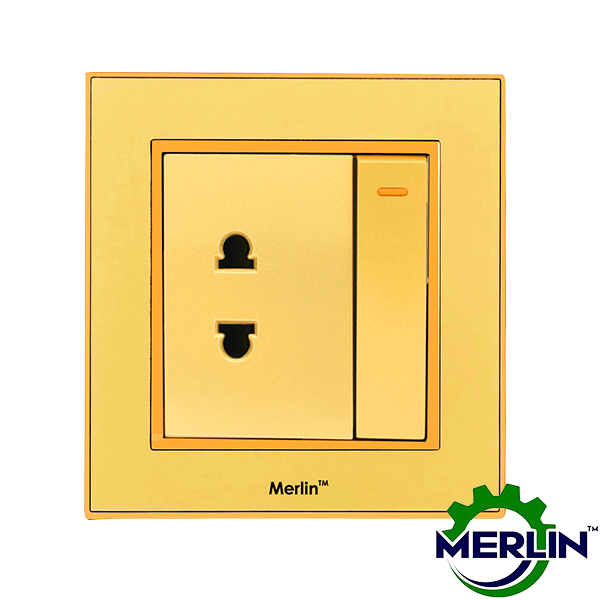 2 Pin Socket with Switch | Gorgeous Gold